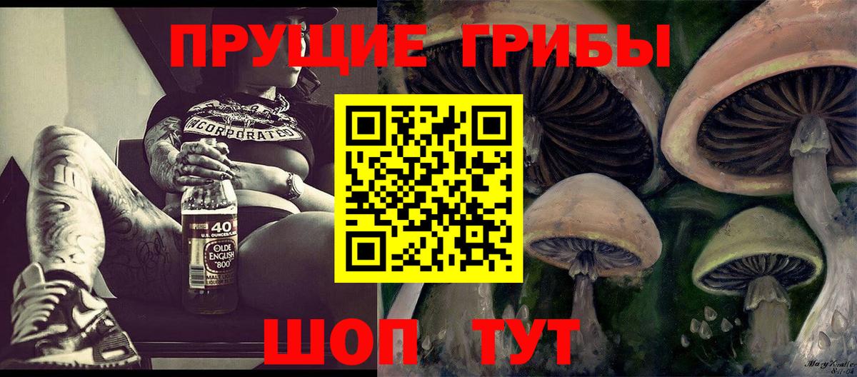 Галлюциногенные грибы GOLDEN TEACHER  Галлюциногенные грибы GOLDEN TEACHER  купить наркоту  Шахты  Вход с VPN 